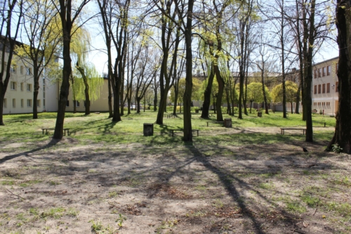 The old Jewish cemetery at 3 Maja St. in Płock (photo by P. Dąbrowski)